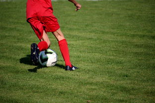 爱游戏app活动-意甲青训体系中融入情绪调节训练的效果评估，意甲青训体系中融入情绪调节训练的效果评估